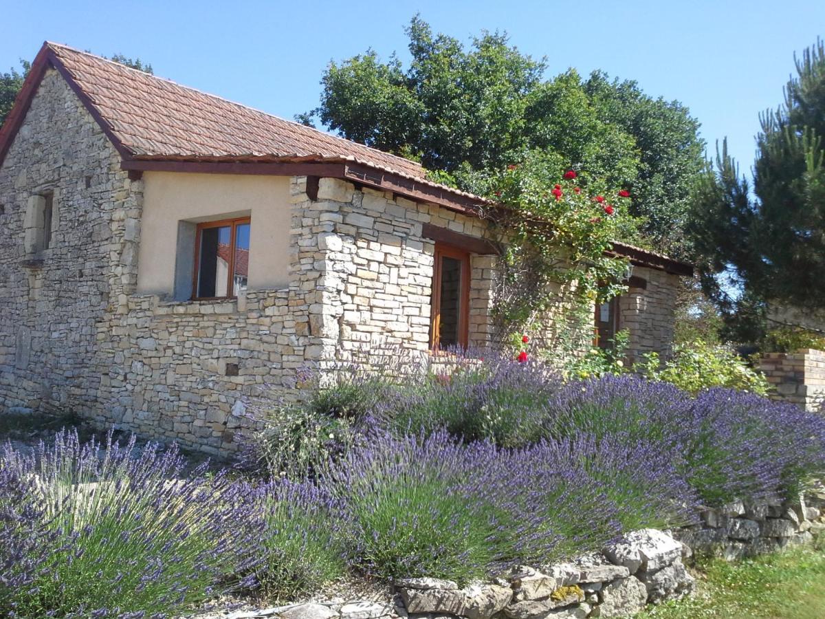 הוילה Salviac Le Hameau Des Cardenals מראה חיצוני תמונה
